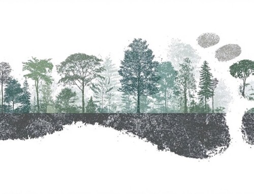 “Mozdulj a klímáért!” témahét