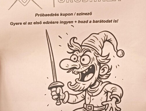 Vívásbemutató